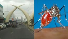 File image of a section of Mombasa County (left) and a mosquito that spreads the Chikungunya disease.
